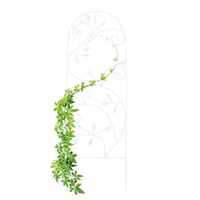 Afbeelding van Relaxdays plantenklimrek vogel rankhulp plantensteun trellis metaal tuin wit