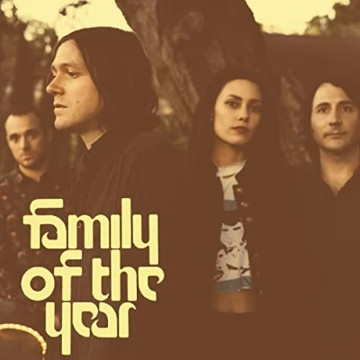 Afbeelding van Family of the Year (LP)