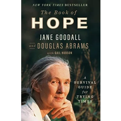 Afbeelding van The Book of Hope: A Survival Guide for Trying Times