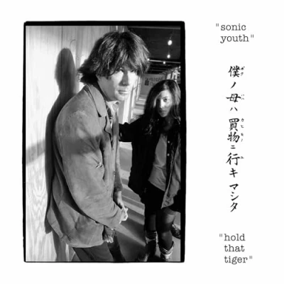 Afbeelding van Sonic Youth Hold That Tiger (LP)
