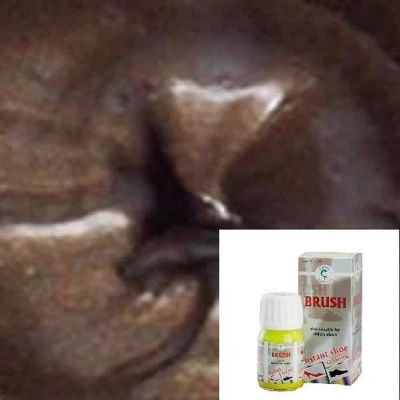 Afbeelding van Brush leerverf 25ml 200 Brons