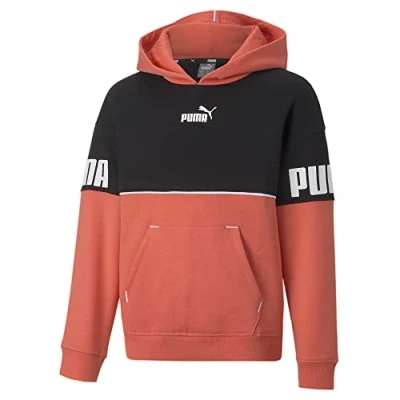 Afbeelding van PUMA Capuchontrui Power Colorblock FL G, voor meisjes, Zalm, 110 cm