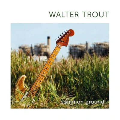 Afbeelding van Walter Trout Common Ground (2 LPs)