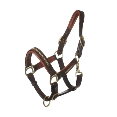 Afbeelding van MHS Leren Halster &quot;Bling&quot; Mini Jaarling Bruin / Goud