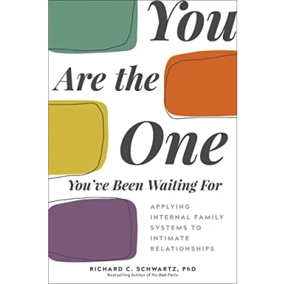 Afbeelding van You Are the One You&#039;ve Been Waiting for: Applying Internal Family Systems to Intimate Relationships