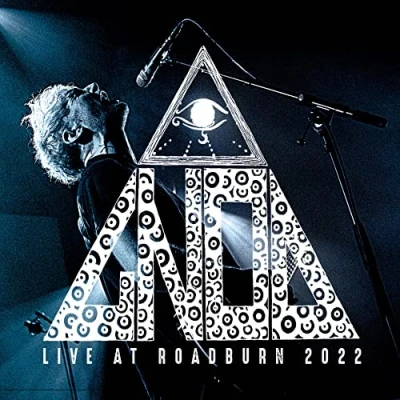 Afbeelding van Gnod Live At Roadburn 2022 (2 LPs)