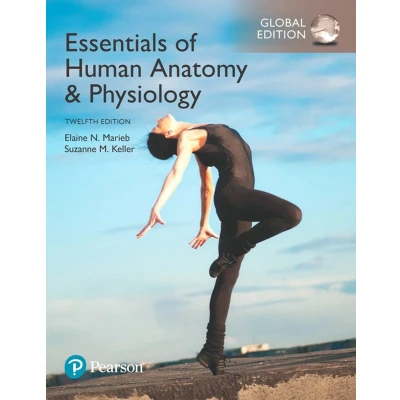 Afbeelding van Essentials of Human Anatomy &amp; Physiology, Global Edition