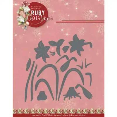 Afbeelding van Dies Precious Marieke Ruby Christmas Amaryllis