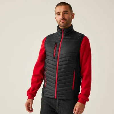 Afbeelding van Regatta Navigate Hybrid Bodywarmer RG894 BLACK/CLASSIC RED M