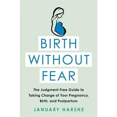 Afbeelding van Birth Without Fear: The Judgment Free Guide to Taking Charge of Your Pregnancy, Birth, and Postpartum