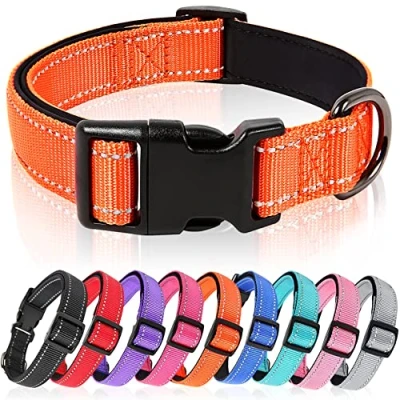Afbeelding van HEELE Halsband, Verstelbare Reflecterende Hondenhalsband Gewatteerde Zachte Gezellige Ademende Kraag voor Kleine Honden, Lichtgewicht Outdoor Trainingshalsbanden, Oranje, S