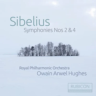 Afbeelding van Royal Philharmonic Orchestra Sibelius: Symphony No.2 In D Major &amp; No.4 A Minor (CD)