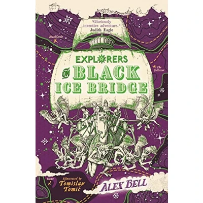 Afbeelding van Explorers on Black Ice Bridge: 1 (The Explorers&#039; Clubs)