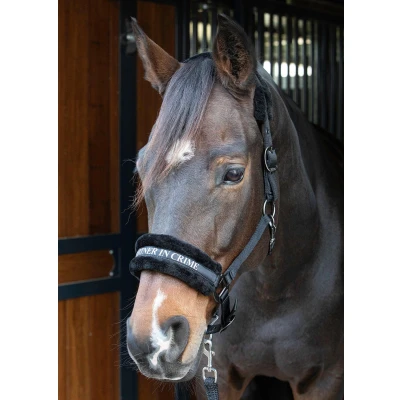 Afbeelding van Harry&#039;s Horse Halsterset Lyrics Quotes Zwartverkocht door Agradi