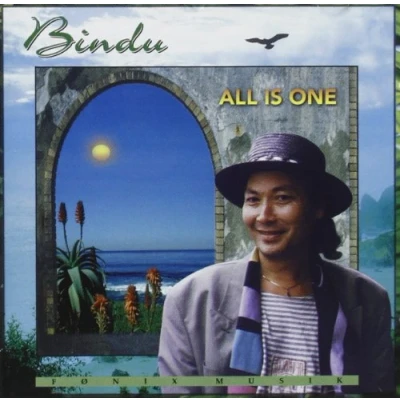 Afbeelding van Bindu All Is One (CD)