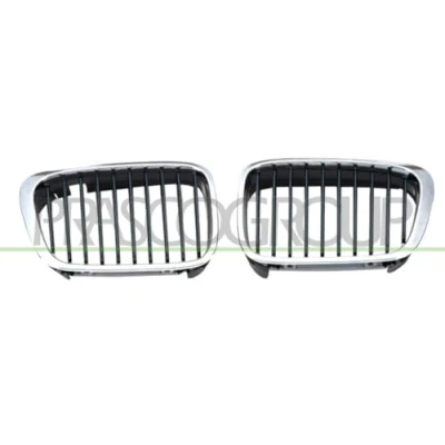 Afbeelding van Radiateurgrille PRASCO BM0182023