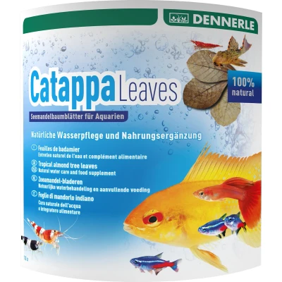 Afbeelding van Dennerle 7004009 Catappa Leaves 10 stuks