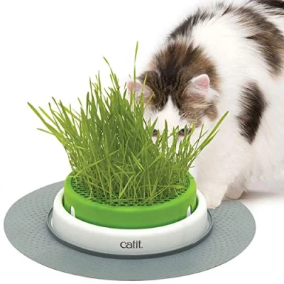 Afbeelding van Catit Senses 2.0 Grass Planter Kattengras
