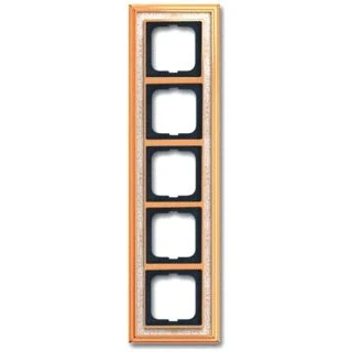 Afbeelding van Abb busch jaeger afdekraam 5 voudig dynasty messing decor ivoor 2cka001754a4647