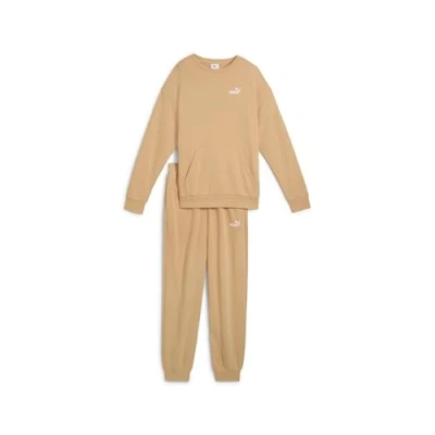 Afbeelding van Puma Relaxed SUIT SET Trainingspak, Dames, Maat: XL, Warm beige