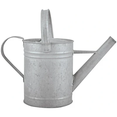 Afbeelding van Fallen Fruits OZ43 Altzink Gießkanne 1,5 Liter Gieter, Grijs (zink), S