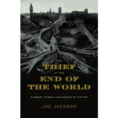 Afbeelding van the Thief at End of World
