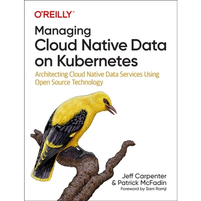 Afbeelding van Managing Cloud Native Data on Kubernetes: Architecting Services Using Open Source Technology