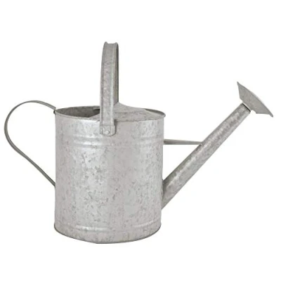 Afbeelding van Esschert Design Gieter/plantengieter zink 3.5 liter klassiek/decoratief 42 x 17.5 24 cm Gieters