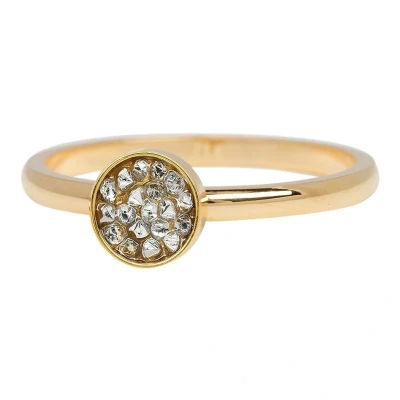 Afbeelding van Cup stones iXXXi Vulring 2 mm 20 / Gold