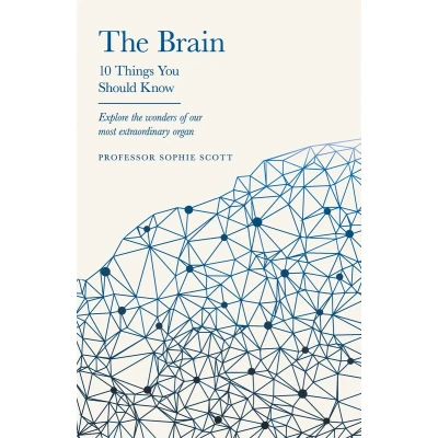 Afbeelding van The Brain: 10 Things You Should Know