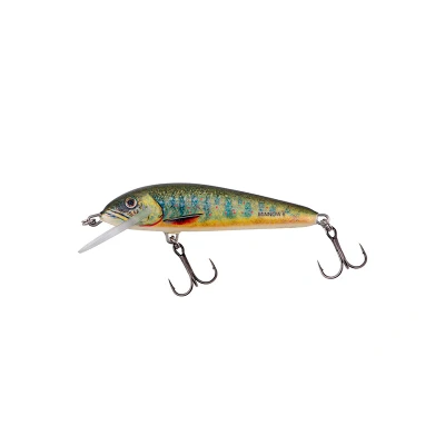 Afbeelding van Salmo Floating Minnow 5cm 3g (diepte 0.5 1.0m) Soort : Lake Charr