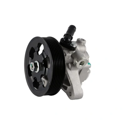Afbeelding van Lauber Servopomp 55.4301