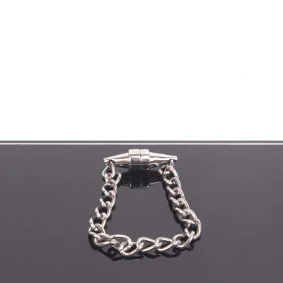 Afbeelding van Magnetische Tepelklemmen met Ketting RVS