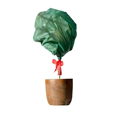 Afbeelding van Windhager Wintervlies rol thermovlies vorstbescherming koudebescherming winterbescherming, decoratieve bescherming tegen vorst, wind en wilde verbiet, 1,6 x 10 m, 30g/m², groen, 06066