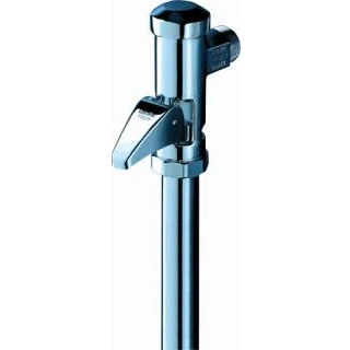 Afbeelding van Grohe wc drukspoeler 3/4&quot; automatische spoeling chr.