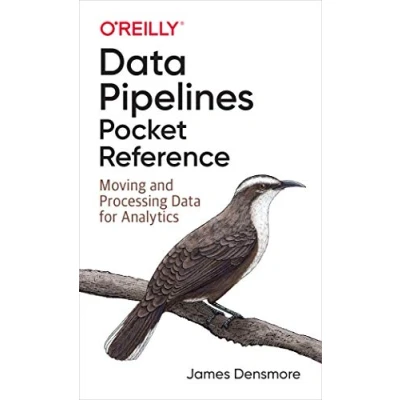 Afbeelding van Data Pipelines Pocket Reference: Moving and Processing for Analytics