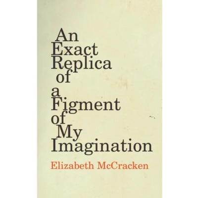 Afbeelding van An Exact Replica of a Figment My Imagination
