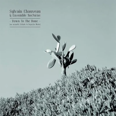 Afbeelding van Sylvain Chauveau &amp; Ensemble Nocturn Down To The Bone (CD)