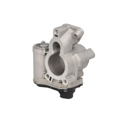 Afbeelding van EGR klep WAHLER 710939D