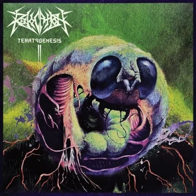 Afbeelding van Teratogenesis