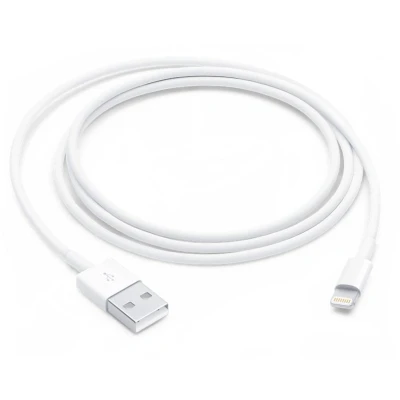 Afbeelding van Apple Lightning naar USB kabel (1 m)