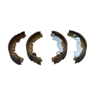 Afbeelding van Kavo Parts Remschoen set KBS 9931