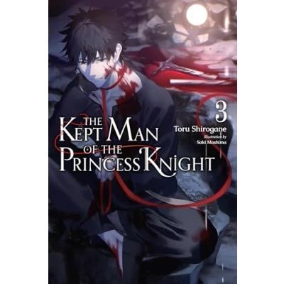 Afbeelding van Kept Man of Princess KNIGHT LIGHT NOVEL SC the Knight, Vol. 3