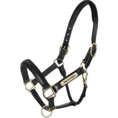 Afbeelding van HB Showtime Halster Horse Name Leer Zwart Cob