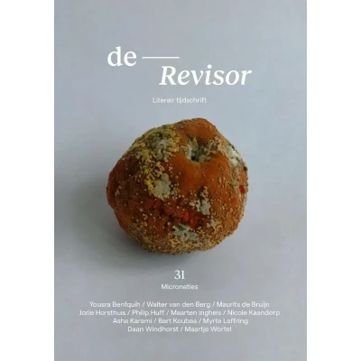 Afbeelding van Revisor 31 (Paperback)