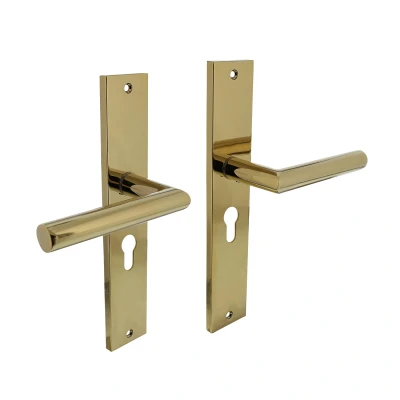 Afbeelding van Deurklink Bastian op schild 245x45 mm met profielcilindergat 55mm messing titaan PVD