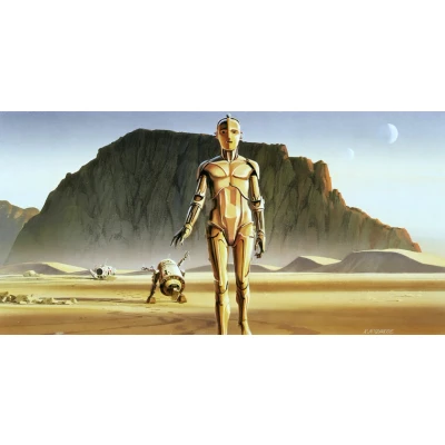 Afbeelding van Komar Vliesbehang Star Wars Classic RMQ Droids 500x250 cm (breedte x hoogte) (set)