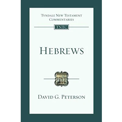 Afbeelding van Hebrews: An Introduction and Commentary