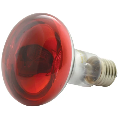 Afbeelding van QTX R80 Rood Gekleurde reflectorlamp E27