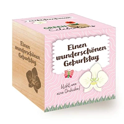 Afbeelding van Feel Green Celebrations Ecocube, orchideeënboom, houten kubus met lasergravure &quot;Een prachtige verjaardag&quot;, duurzaam cadeau idee, kweekset, Made in Austria
